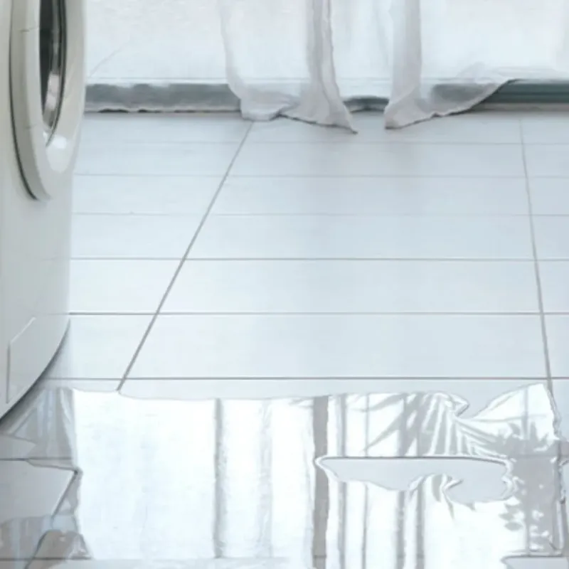 Appliance Leak Cleanup in Pine Castle, FL